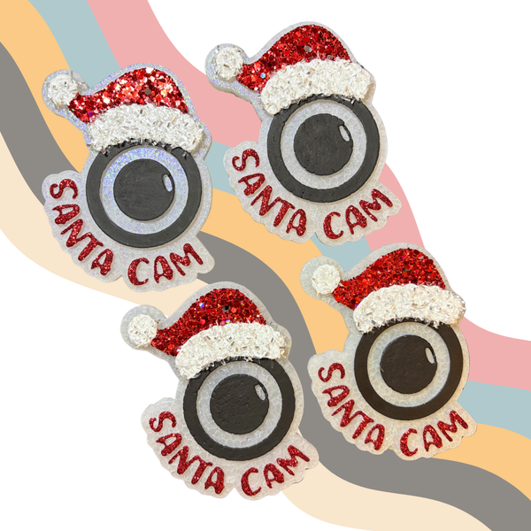 Santa Cam