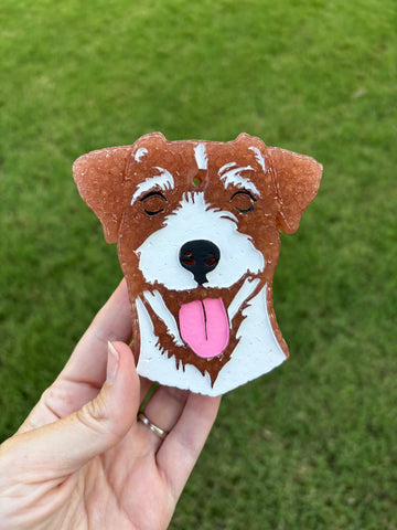Jack Russell Terrier