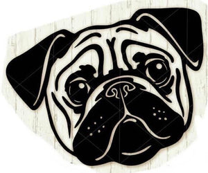 Pug
