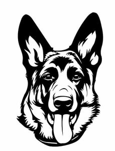 German Shepherd