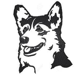 Corgi