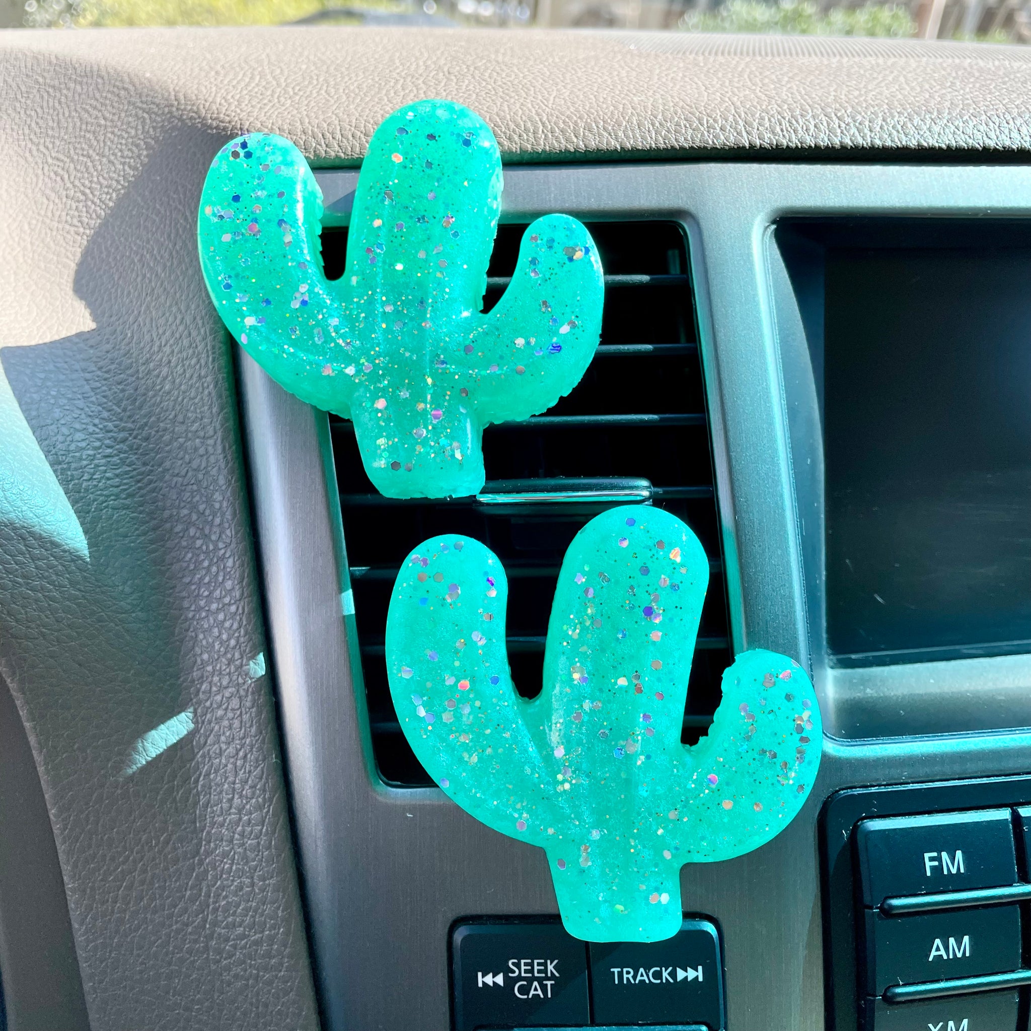 Cactus Vent Clips